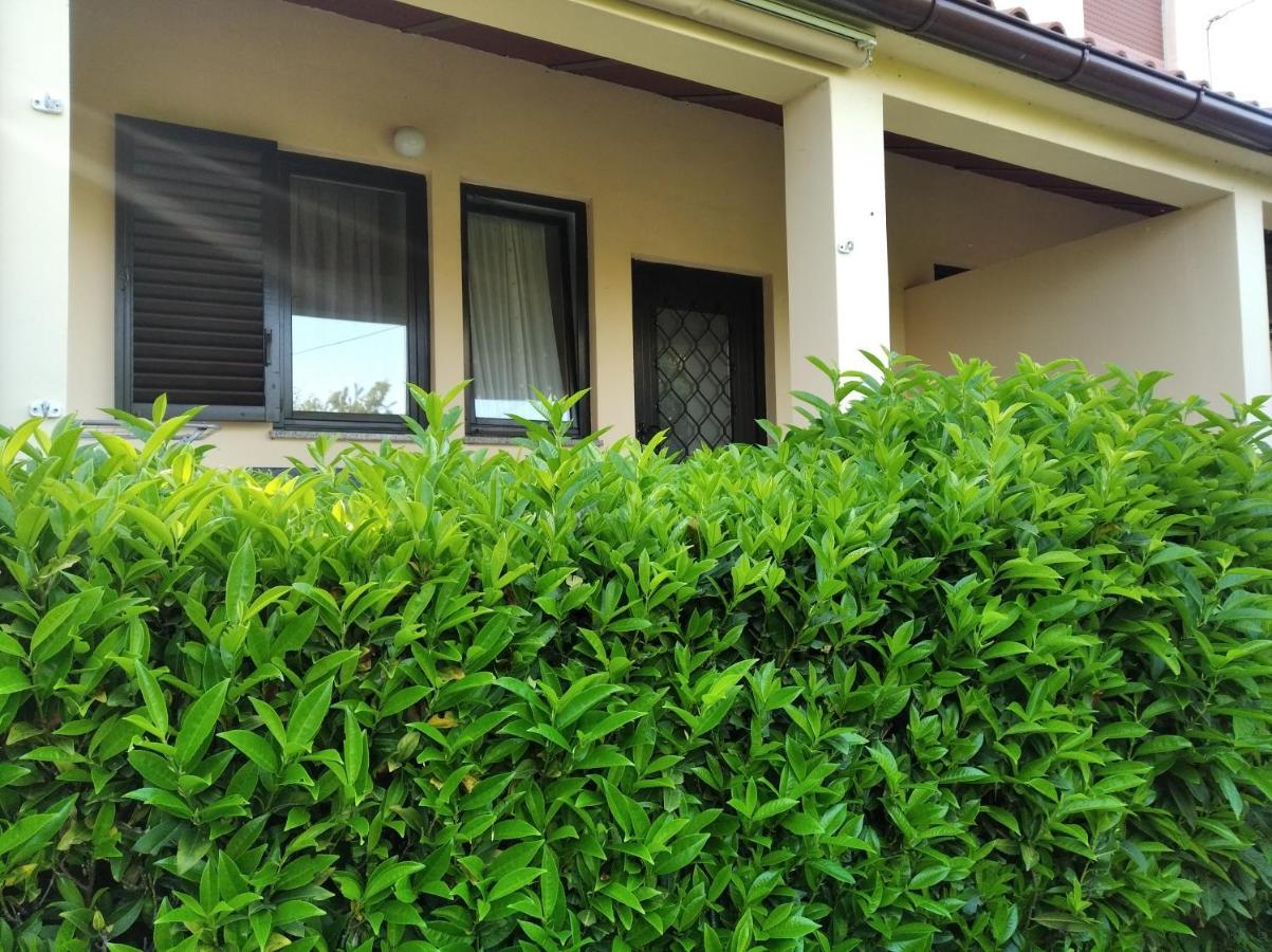 N2 Apartamento PUY Exterior foto